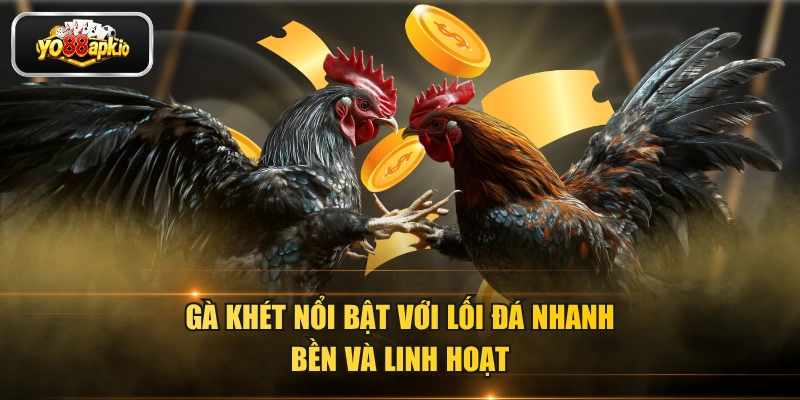 Gà khét nổi bật với lối đá nhanh, bền và linh hoạt
