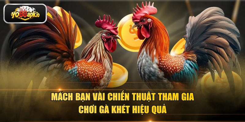 Mách bạn vài chiến thuật tham gia chơi gà khét hiệu quả